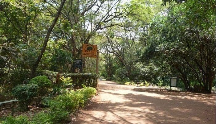 What Green Spaces Mean in Kenya’s Urban Development