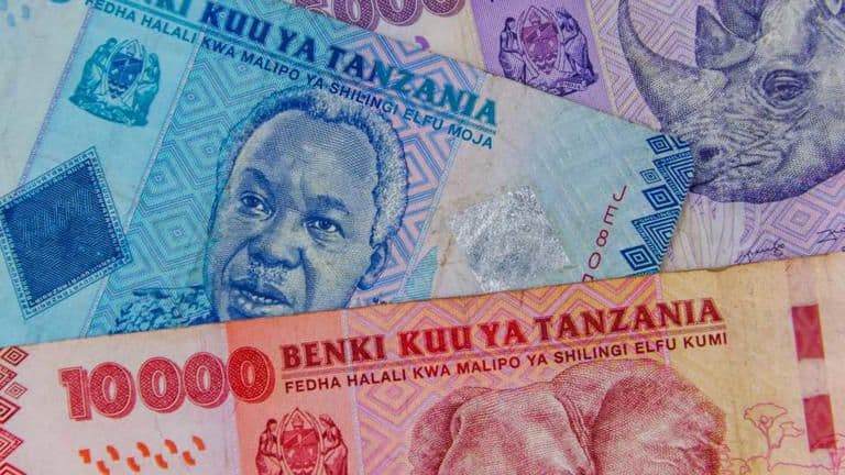 How the Tanzanian Shilling Rebounded Against the Dollar and Kenyan Currency in 2025