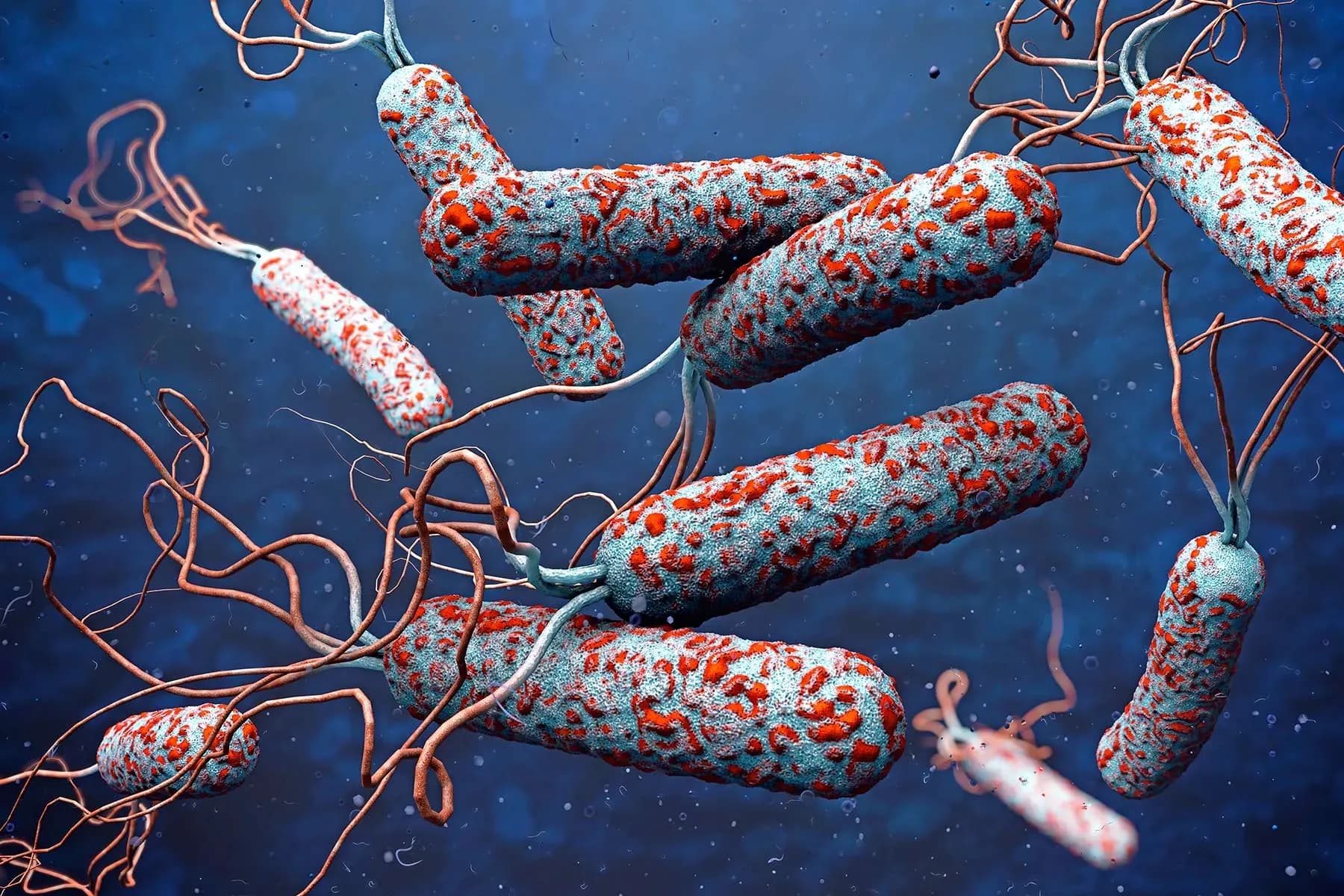 Narok on Its Knees: How Cholera Crippled a County Overnight
