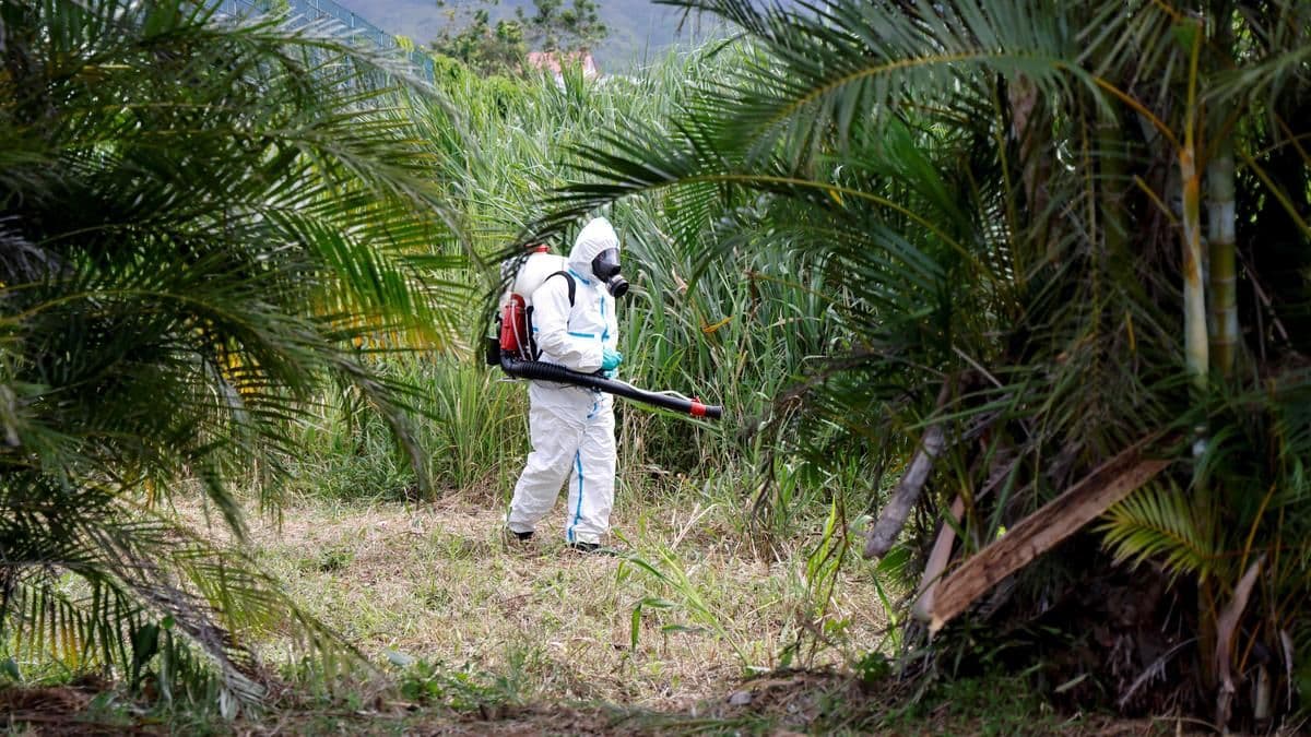 Chikungunya Resurfaces in Kenya as WHO Warns of Global Spread